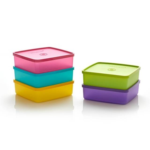 Large Square Away Bekal Tupperware