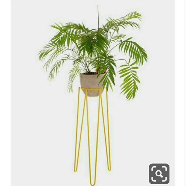 Plant stand single