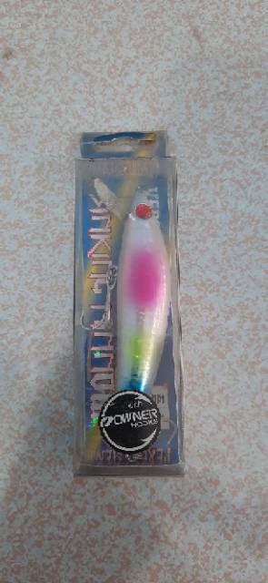 Minnow Singking Fukusima