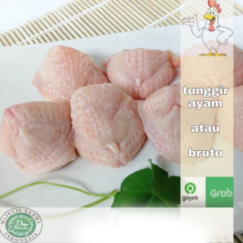 

brutu/tunggir ayam perkg fress / ayam segar