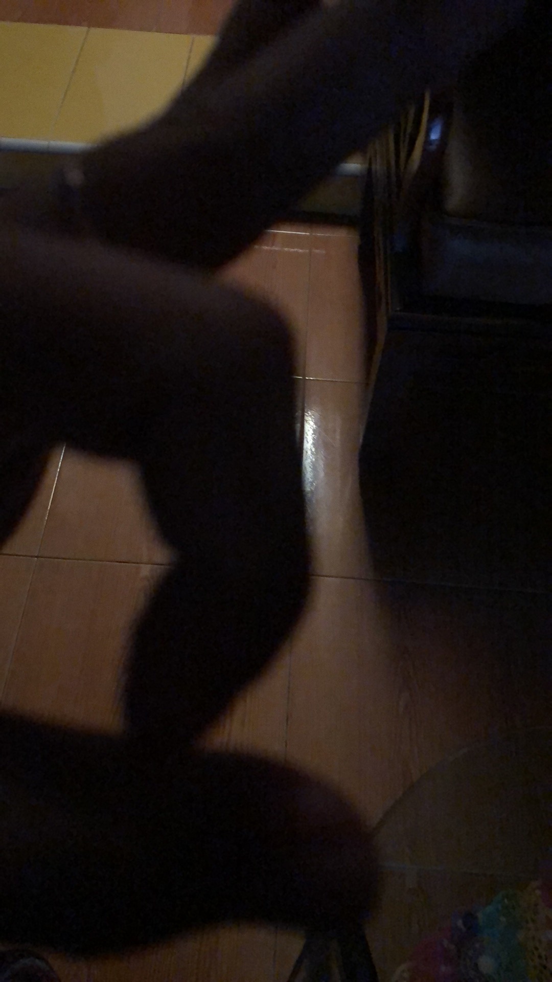 Rak Dinding Toilet Kamar Mandi