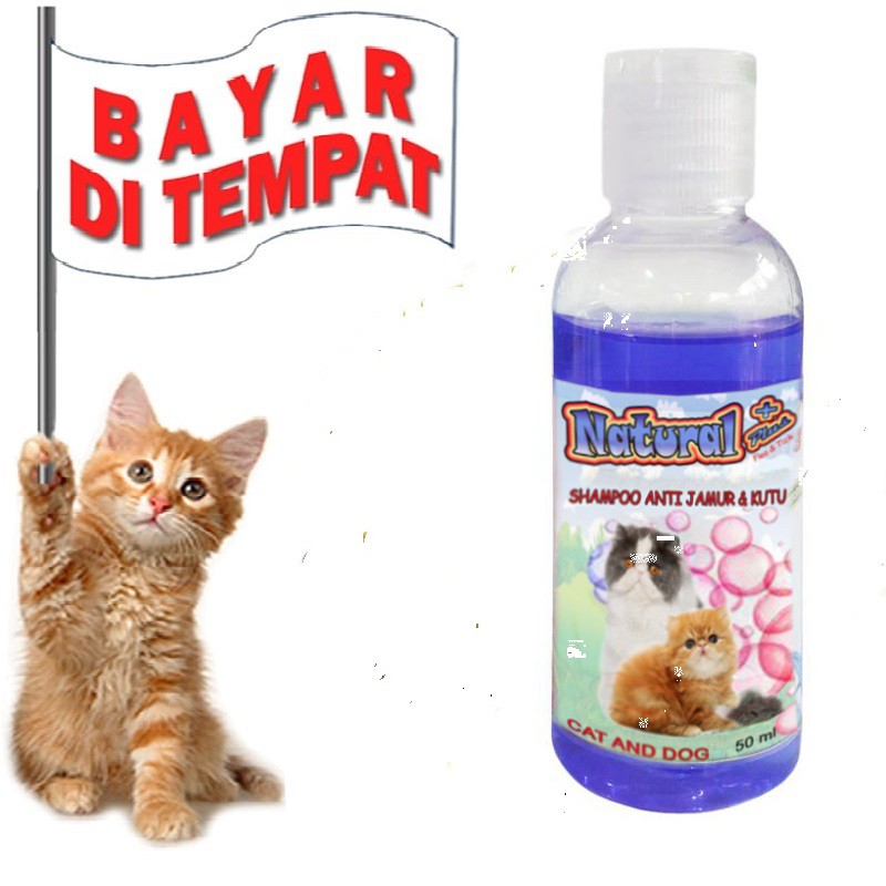 SAMPO KUCING MURAH NATURAL PLUS SHAMPO KUCING ANTI KUTU JAMUR AMPUH