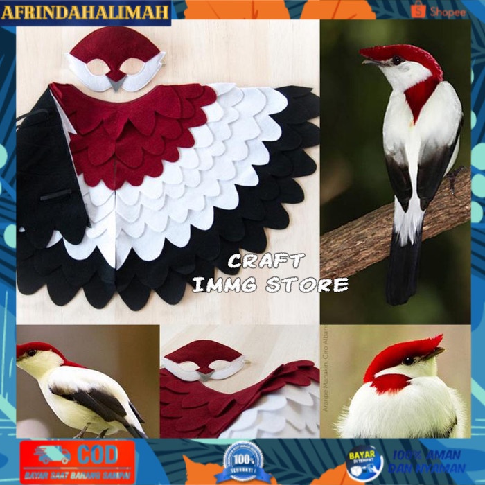 

{TERBARU} Set Kostum Burung araripe manakin drama teater anak pentas sekolah - M