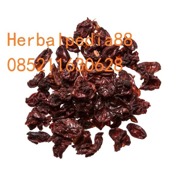 Shan Zhu Yu Cornus Fruit Dogwood Fruit 600 gram