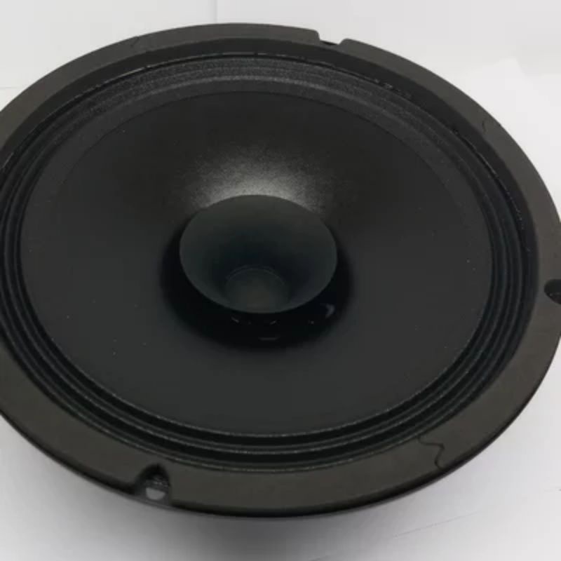 Speaker ACR 810 DFH