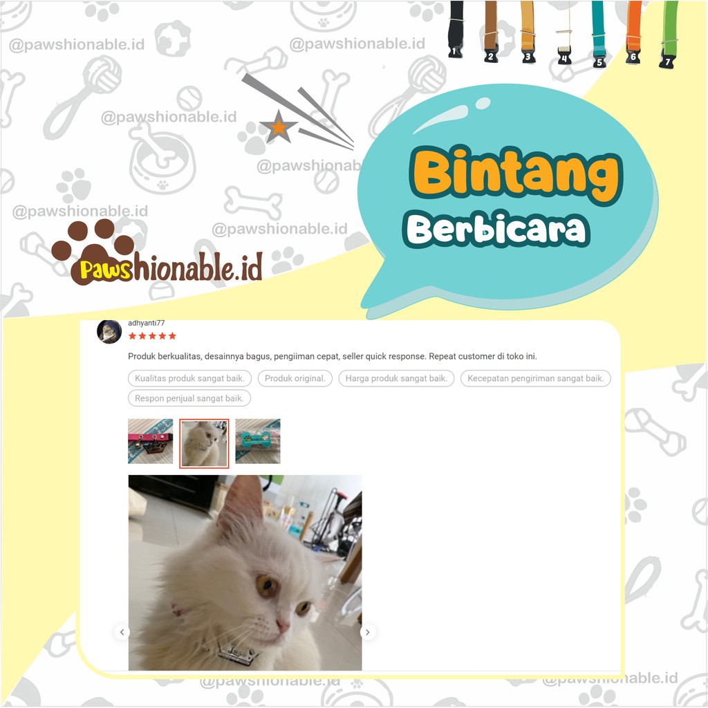 K17 - Kalung Custom Nama Kucing Anjing Aksessoris Hewan PU Leather/Kulit Sintetis