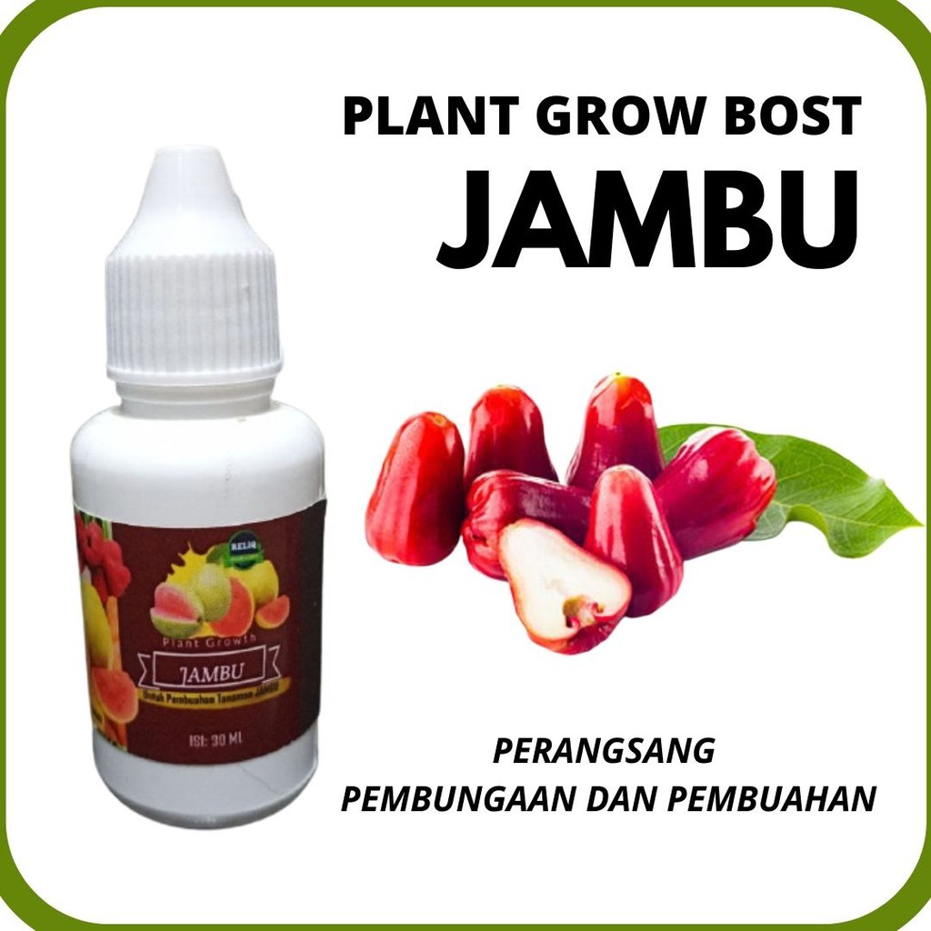 Pupuk Perangsang Buah Jambu, Pupuk Hormonik Pohon Jambu Air, Booster Plant Grow RELIQ Cepat Berbuah