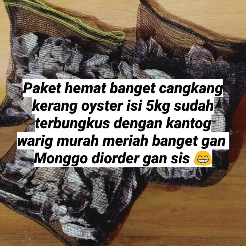 cangkang kerang oyster media filter kolam ikan koi paket 5kg