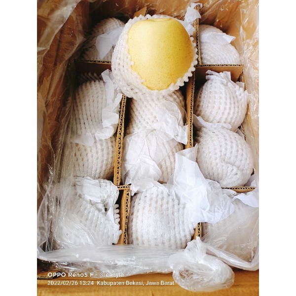 

chayra Snack buah pear 1kg