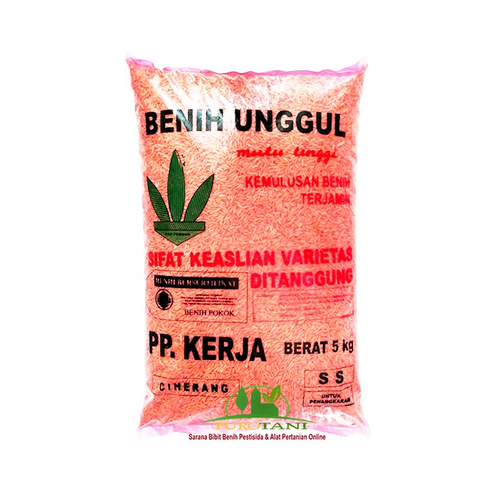 Benih Padi Ciherang PP Kerja 5 Kg