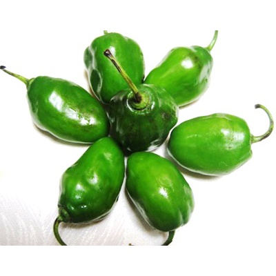 

CABE GENDOT 250 GRAM