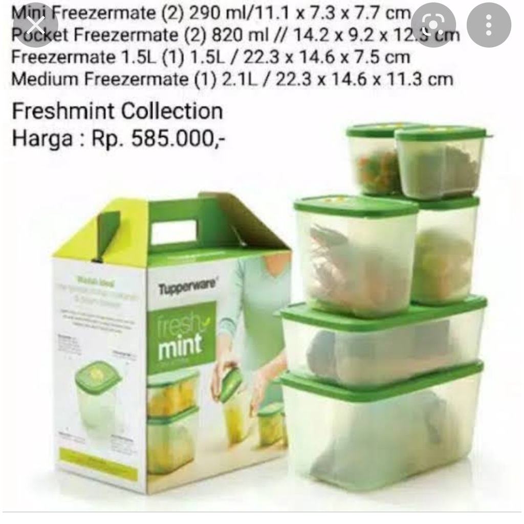 Tupperware Fresh Nt Collection (Freezer Box / Tempat Yimpanan Makanan Beku / Kotak Frozen Food /