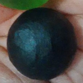 Batu Cyclop Hitam Papua