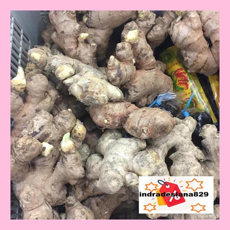 

T4Tkind Jahe Lokal Lebih Pedas 300Gram Seharga 12.000 Sotydr4