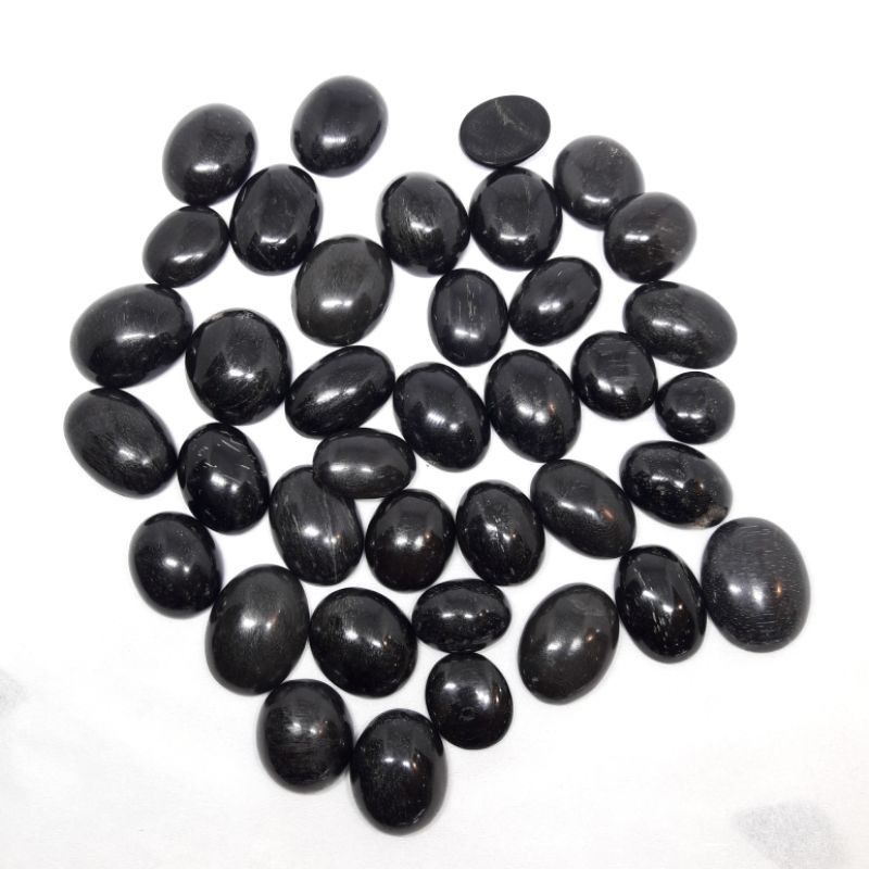 Batu fosil galih kelor hitam