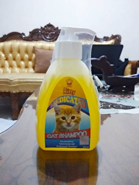 Shampoo kucing Raid All cat shampoo 250 ml