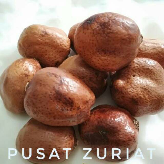 Zuriat 500 gram Singel buat promil asli Mesir