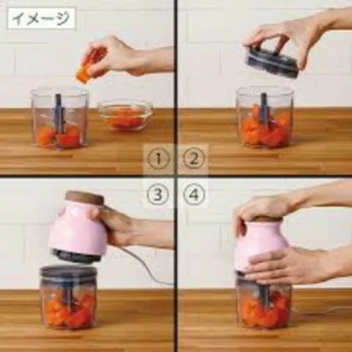 blender kapsul / Hand Blender capsule cutter quatre &amp; chop pastemixcrush