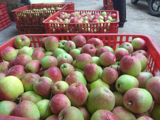 Baut Buat Box X1, X 2, X3 , X4