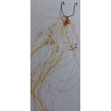 Rangkaian pancing cabang tiga tanpa kili kili