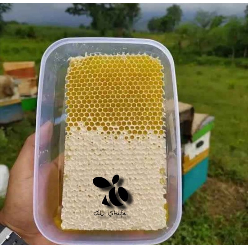 

MADU SARANG AL-SHIFA 500grm