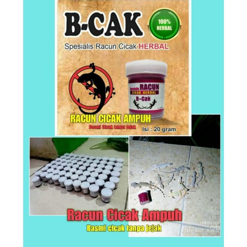 Racun Cicak B-CAK Racun cicak ampuh racun tokek Obat Cicak
