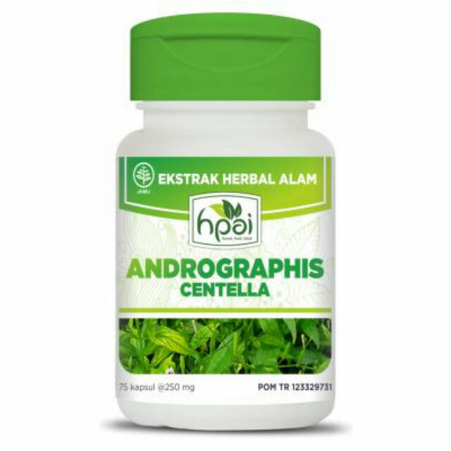 

Andographis centela