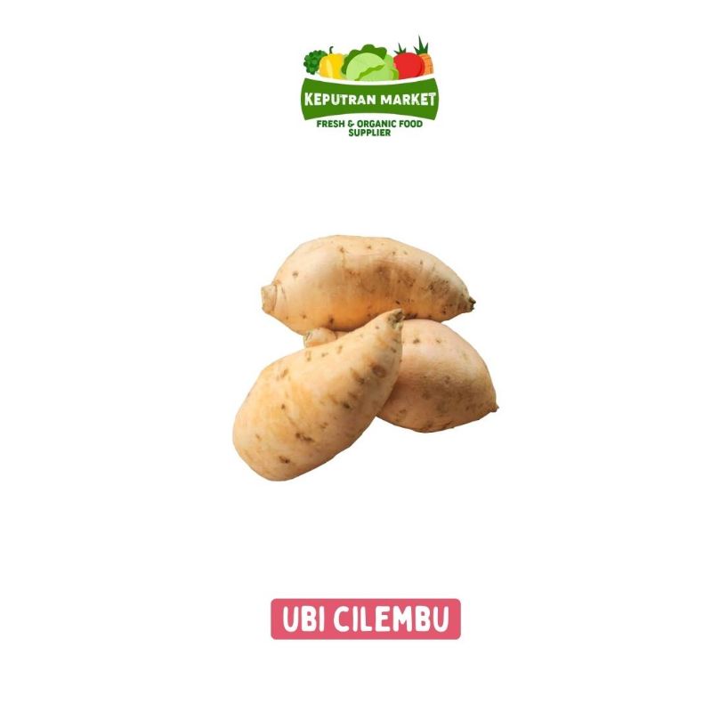 

Ubi Cilembu Per Kg / Umbi