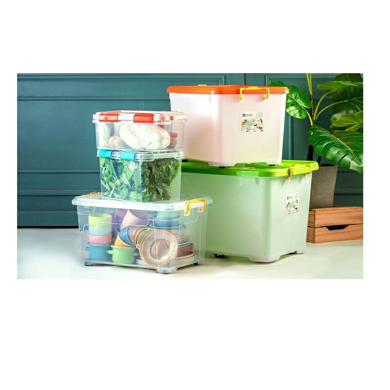 Container Box Ezy 45 L (liter) Storage Box