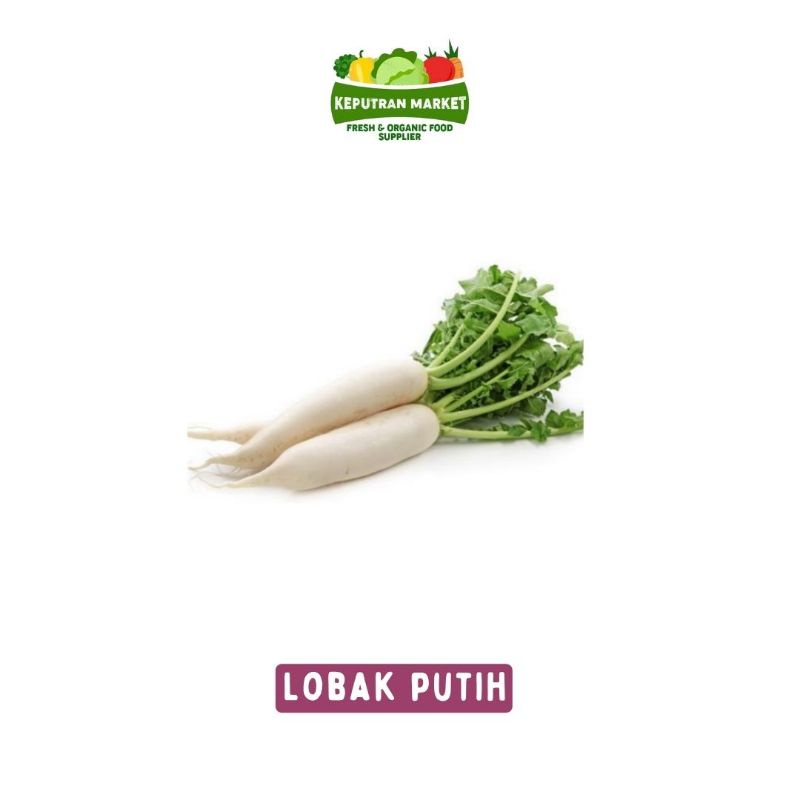 

Lobak Putih Per Kg / Produk Langka