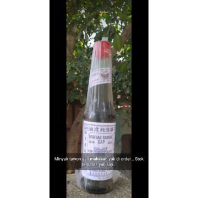Minyak Tawon Cap Kupu Kupu Asli Makassar