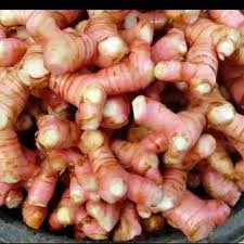 

Lengkuas Segar atau Laja Bumbu bisa herbal