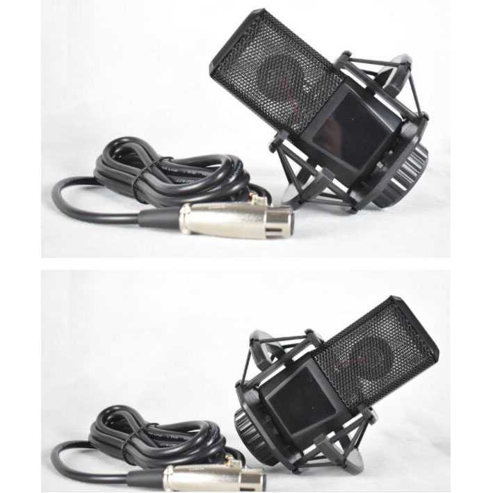 Microphone Mic Condenser Mikrofon Pro Recording Shockproof Holder Th