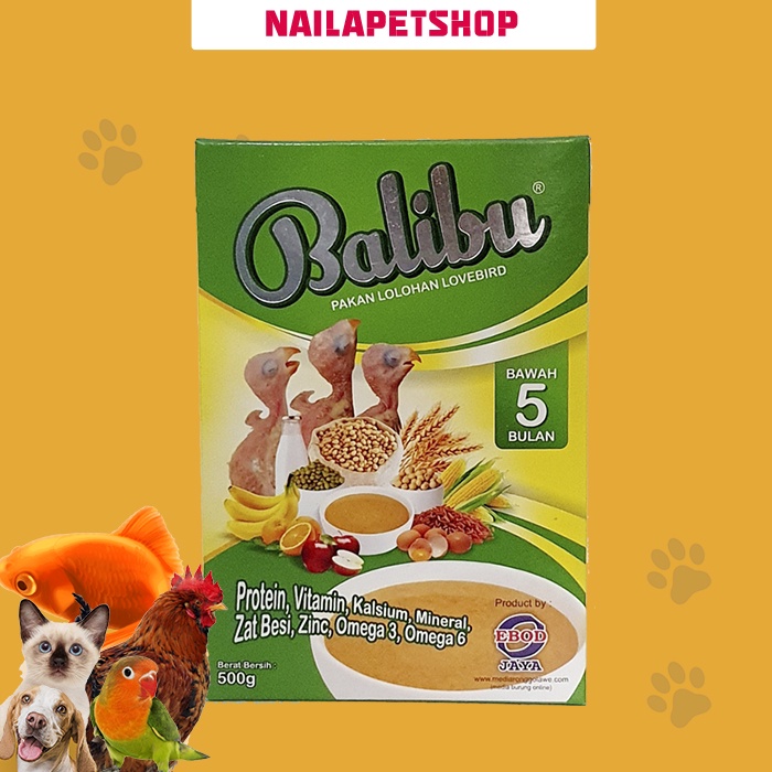 BUBUR EBOD BALIBU / PAKAN LOLOHAN BURUNG EBOD JAYA
