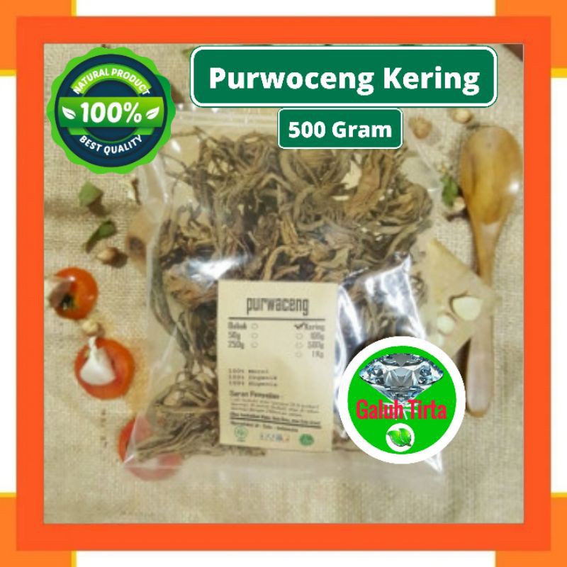 

PURWOCENG KERING 500 GRAM - Pimpinella Pruatjan - MURNI - JSR