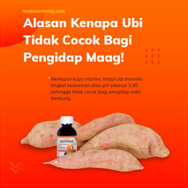 madu zestmag obat asam lambung herbal  madu zestmag madu asam lambung-1