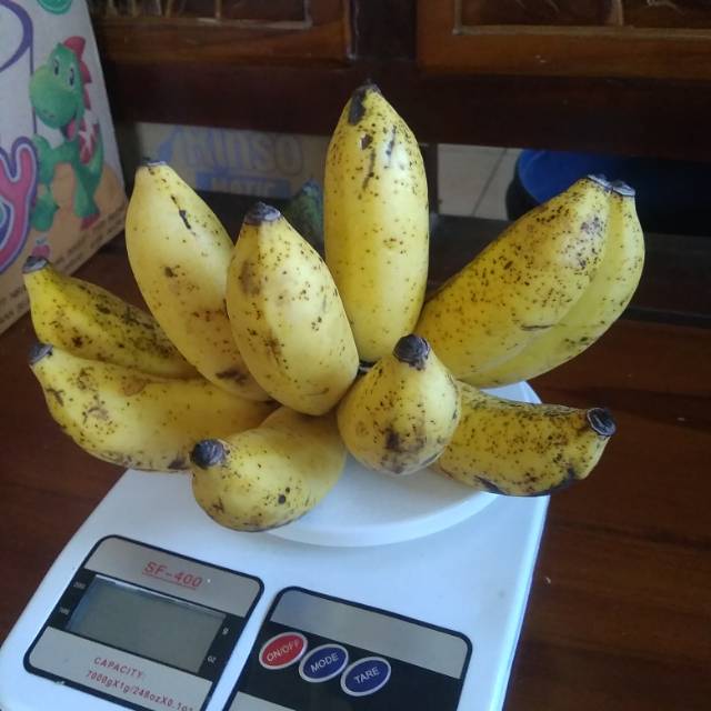 

Pisang Susu