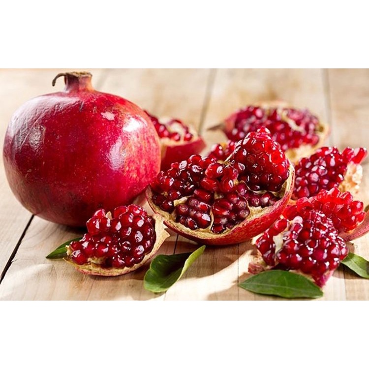 Promo 1 box delima + 1 m coll