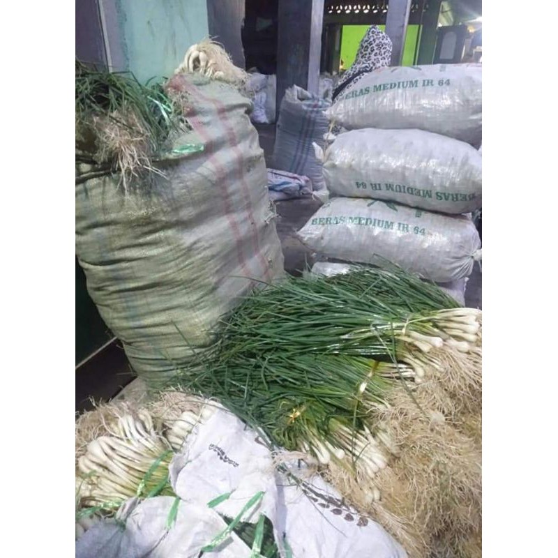 

bawang_batak