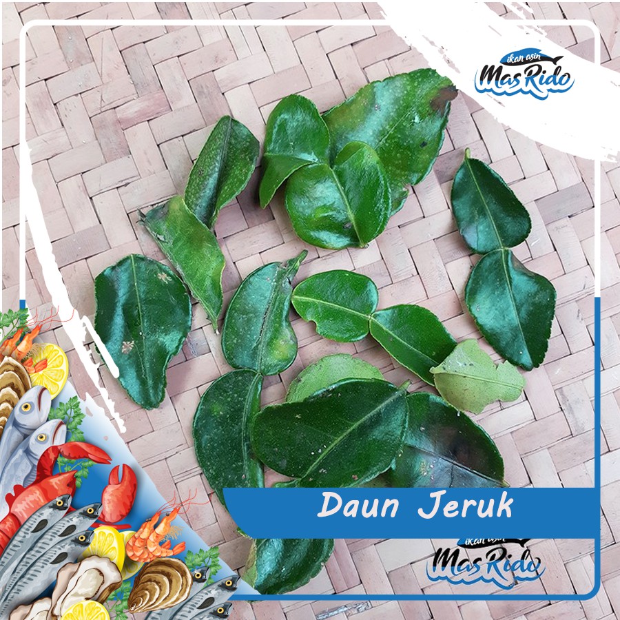 

DAUN JERUK / DAUN JERUK PURUT / DAUN JERUK PURUT KWALITAS PREMIUM