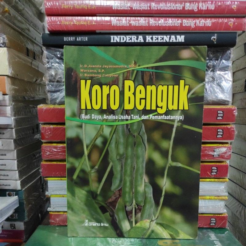 BUKU ORIGINAL KORO BENGUK