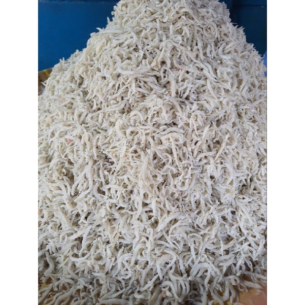 

teri nasi teri medan cumi asin udang asin