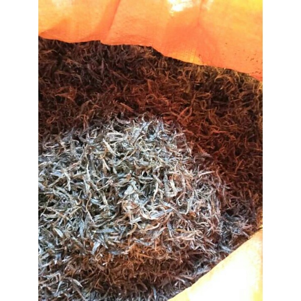 

duonikesulawesiteangah/penja