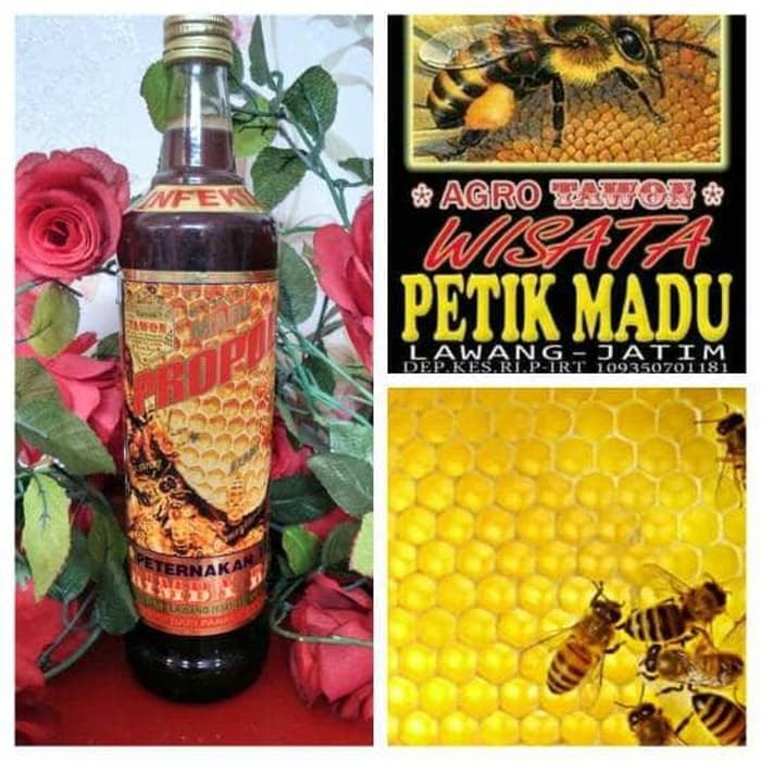 

MADU PROPOLIS INFEKSI 600ml - MMD2482