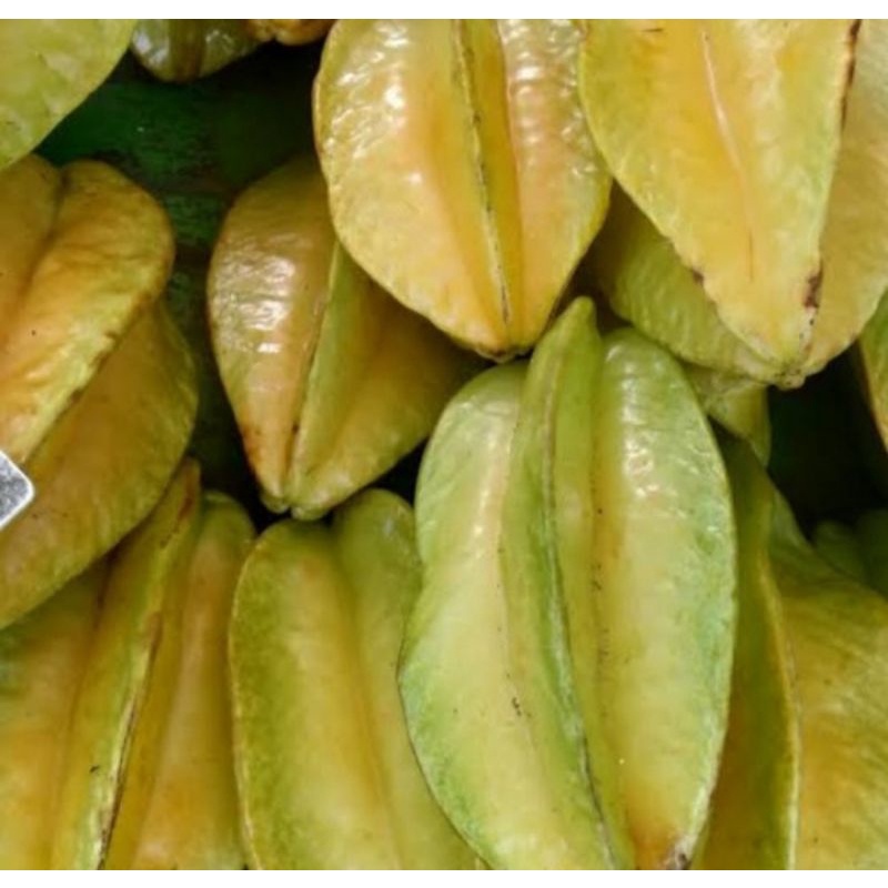 

BUAH BELIMBING SEGAR PER 1 KG