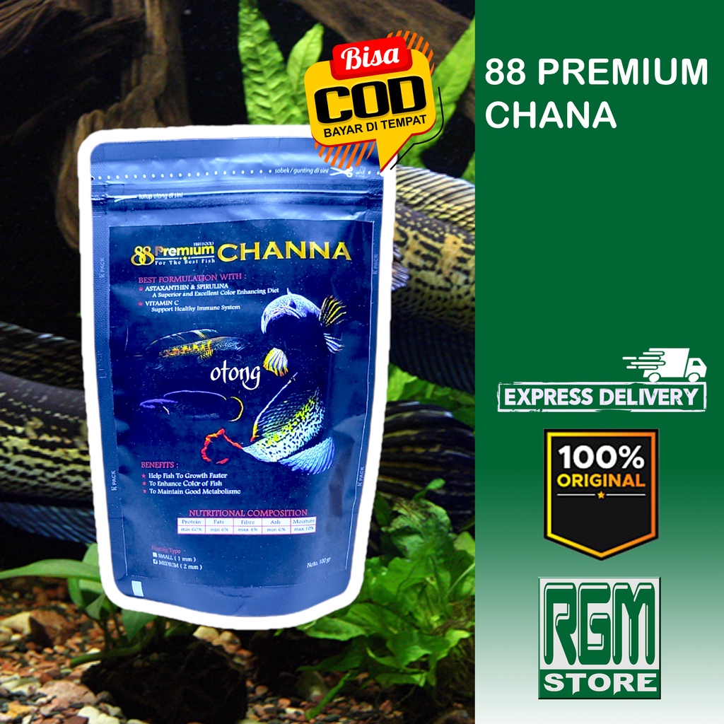 Premium 88 ALL PREDATOR RED BLUE YELLOW CHANNA CANA makanan Pakan ikan