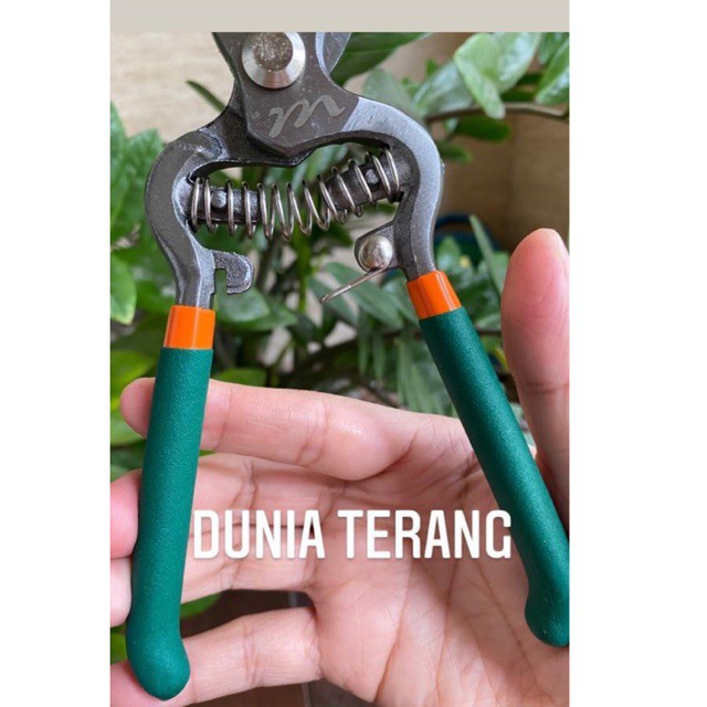 Gunting Dahan MULLER ML-302 Gg Lurus Karet Per - Gt Kebun Ranting Tanaman Bunga - Pruning Shear