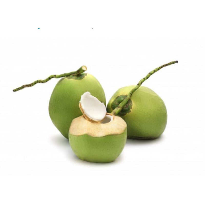 

Kelapa Muda