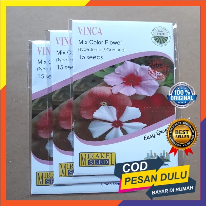 Benih Bunga Vinca juntai Type Gantung Warna Mix Tanaman hias Murah isi 15 biji Bisa COD Mirakel Seed