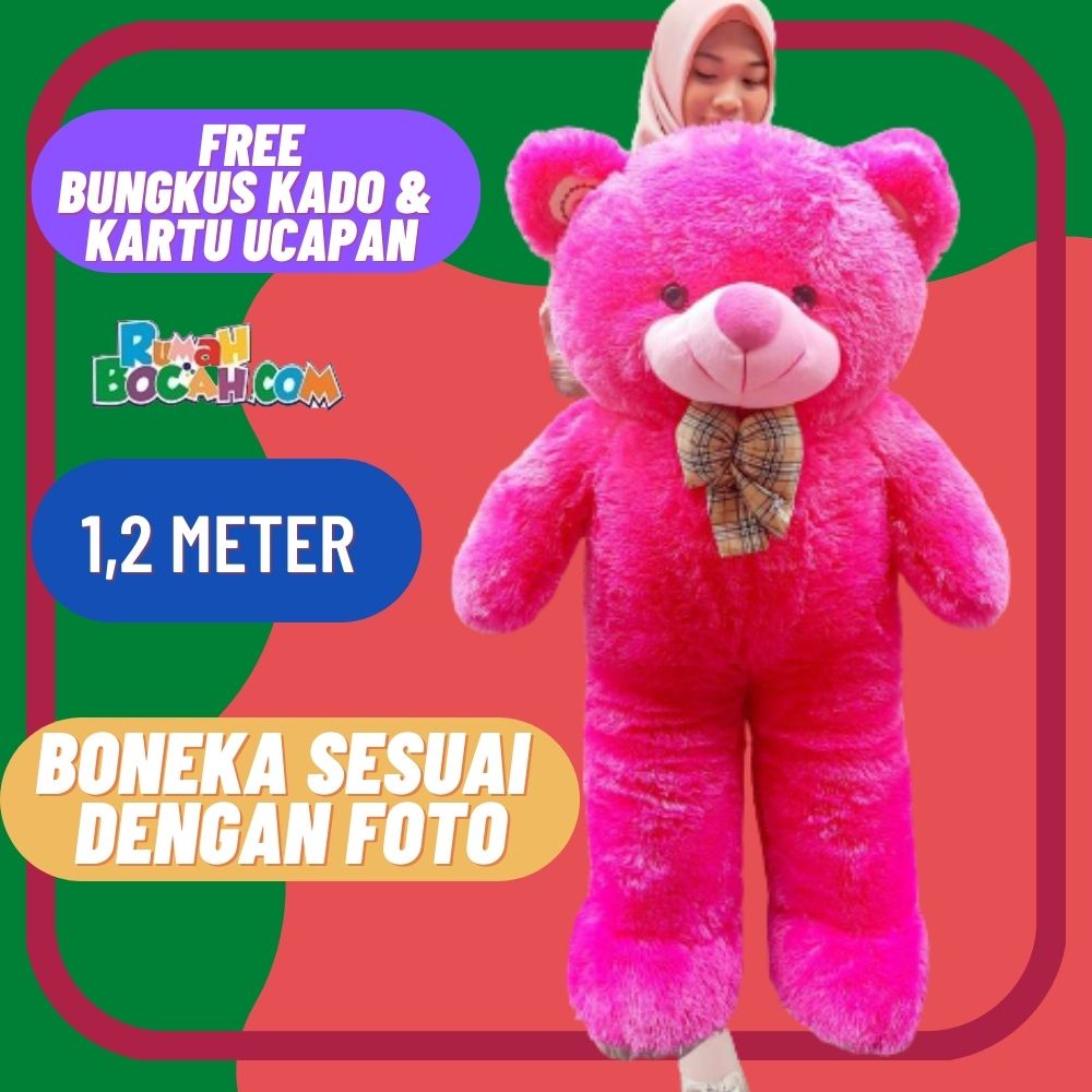 Boneka Beruang 1,2 m meter Teddy Bear Beruang Jumbo Besar Bear  Choosy Pita Kotak Merah Fanta untuk 